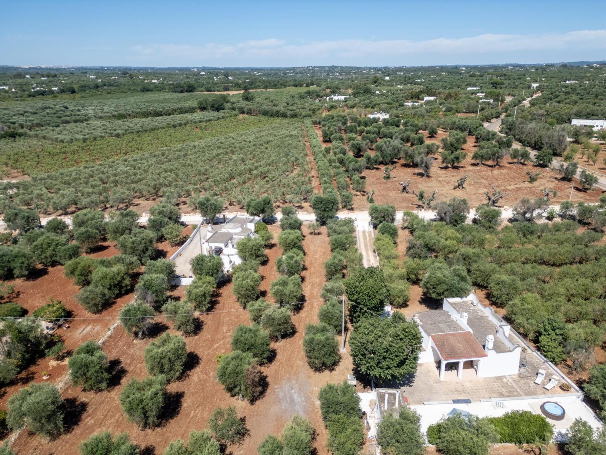 Trullo La Quercia Villa Ostuni Eksteriør bilde
